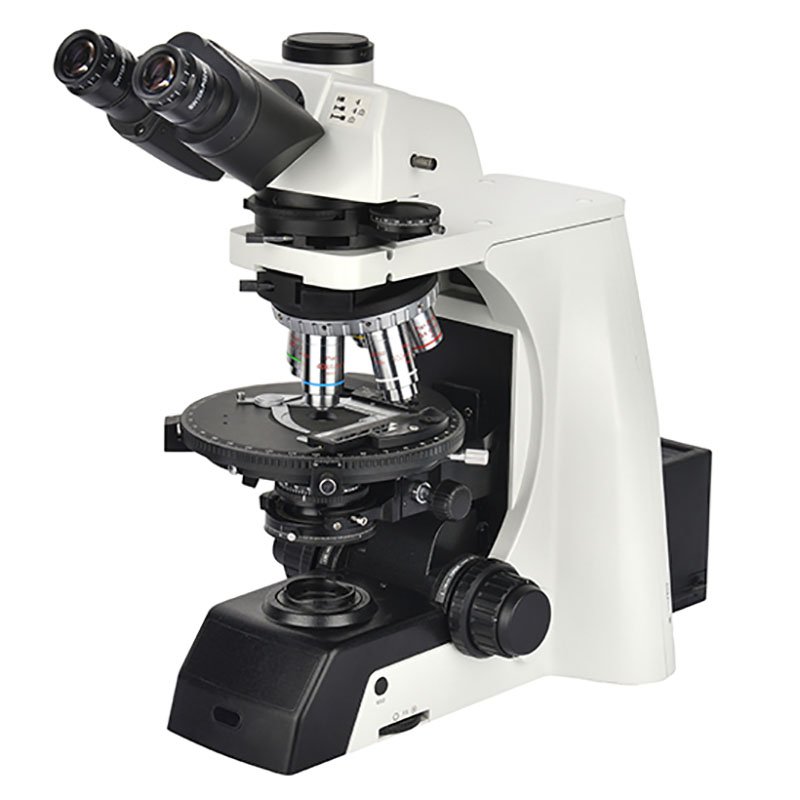 BS-5095 — Microscopios polarizadores de investigación